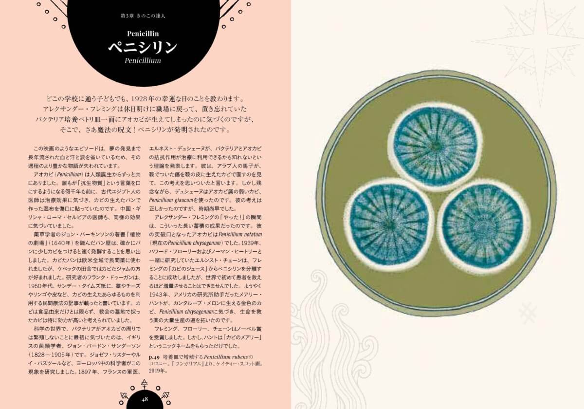 魔女の森