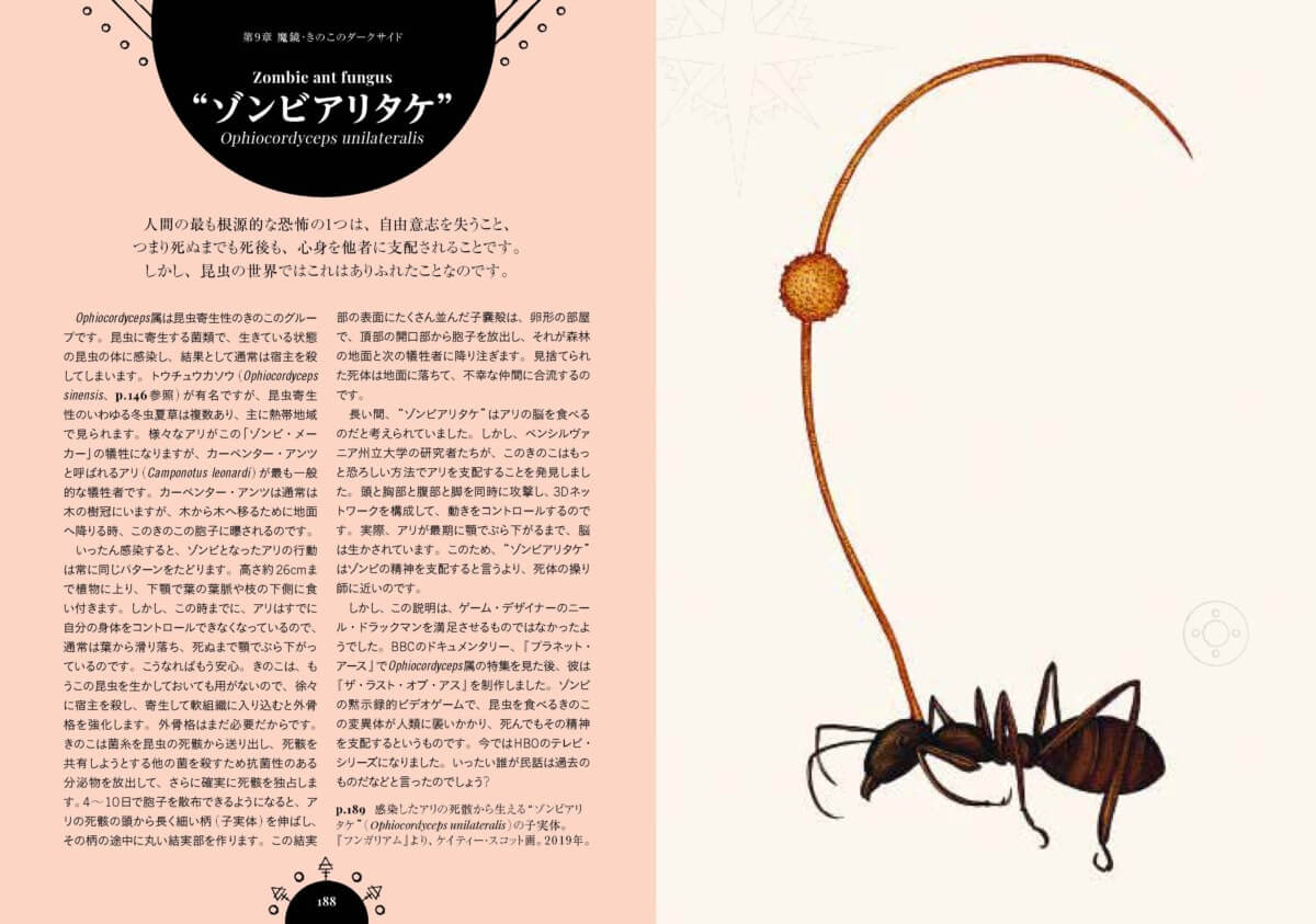 魔女の森 不思議なきのこ事典