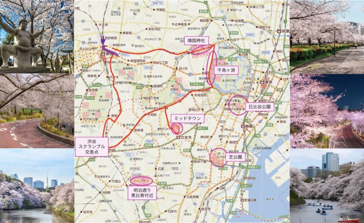 アフタヌーンティーバスツアー