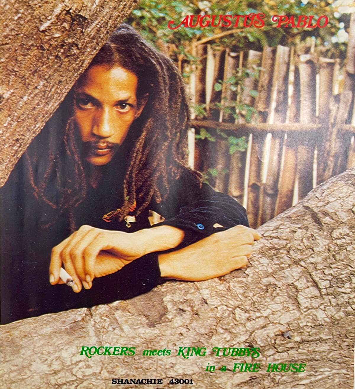 Augustus Pablo_Rockers Meets King Tubbys In A Fire プロモーション・ポスター 1980