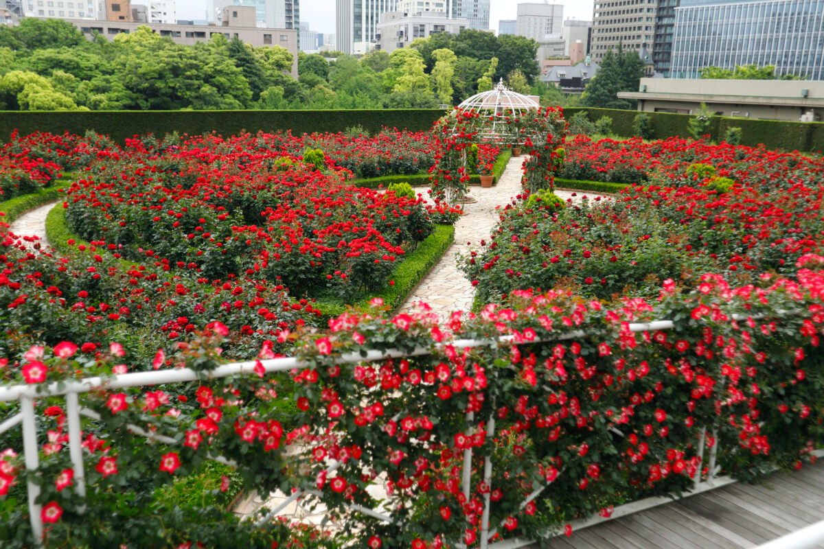 ホテルニューオータニ（東京） 屋上庭園 レッドローズガーデン