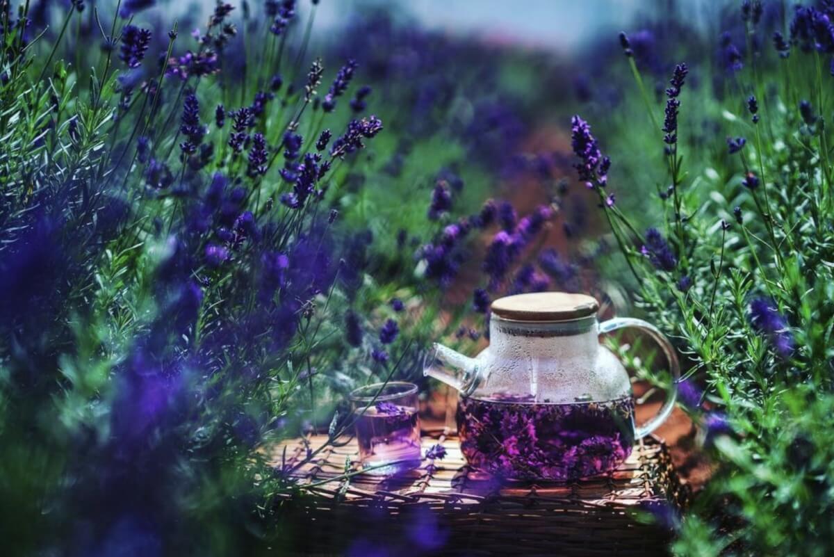 hoogly tea