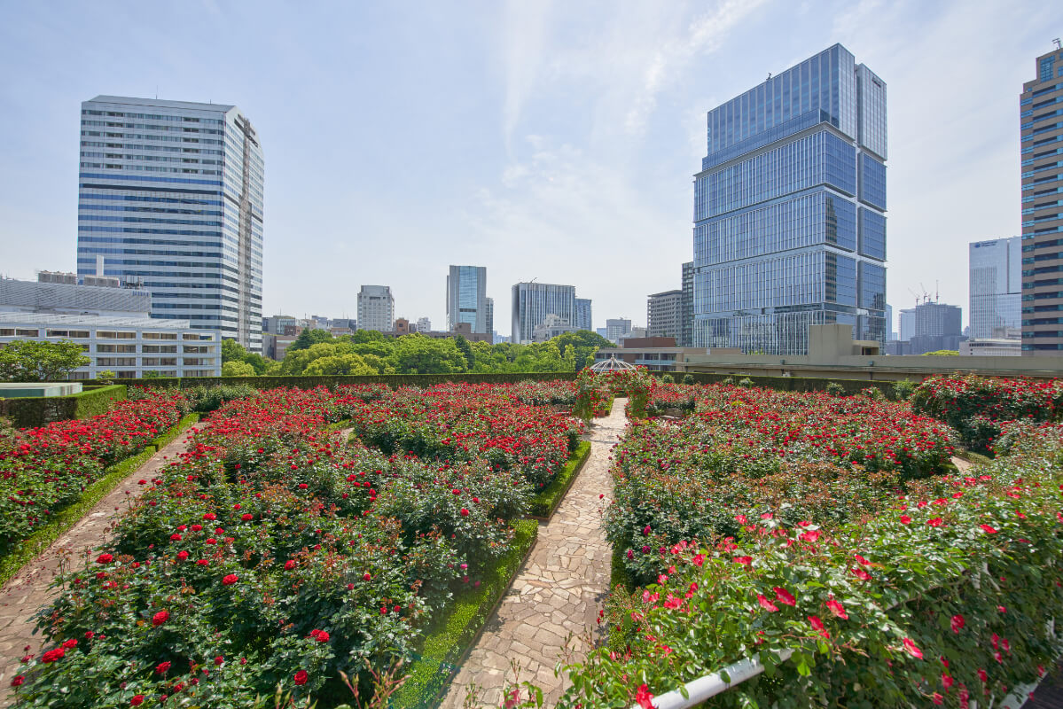 ホテルニューオータニ（東京） 屋上庭園 レッドローズガーデン