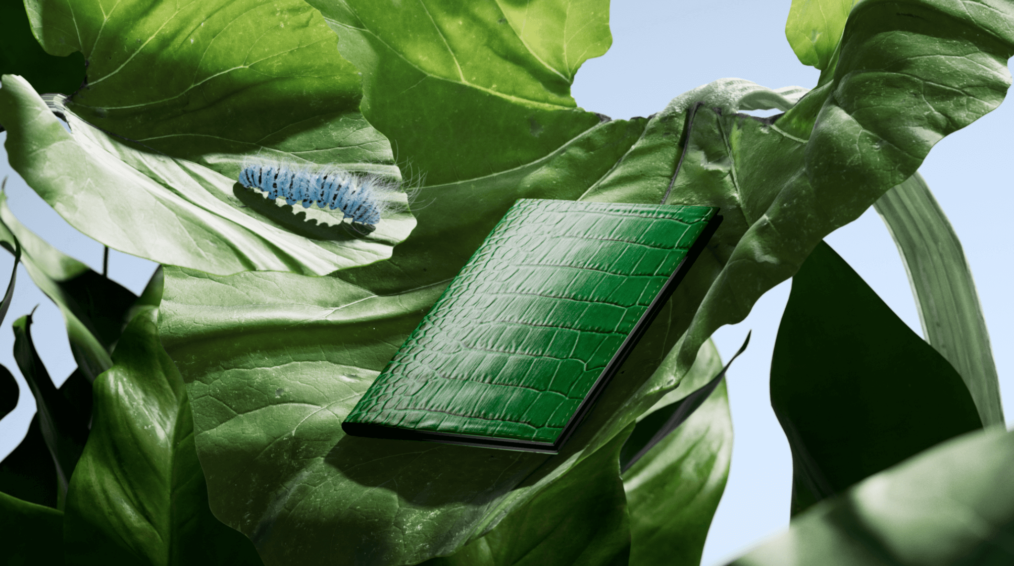 SMYTHSON'S SS24 CAMPAIGN「SPRING」