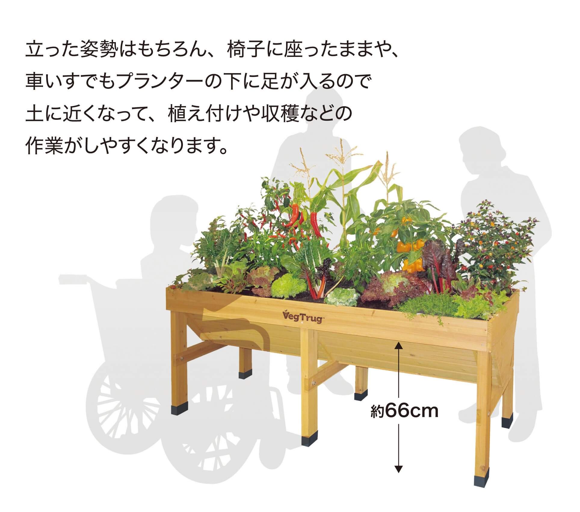 VegTrug特長1