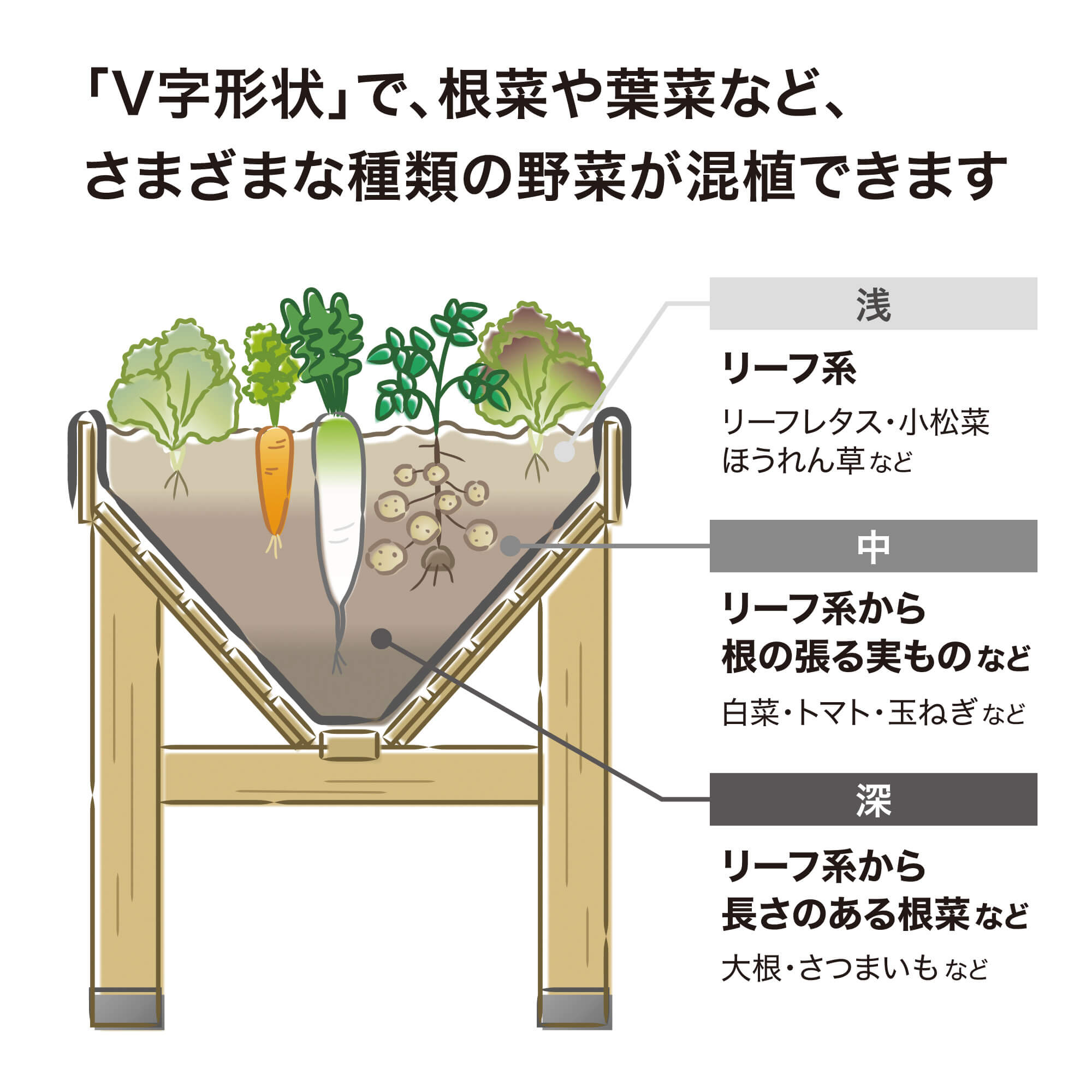 VegTrug特長2