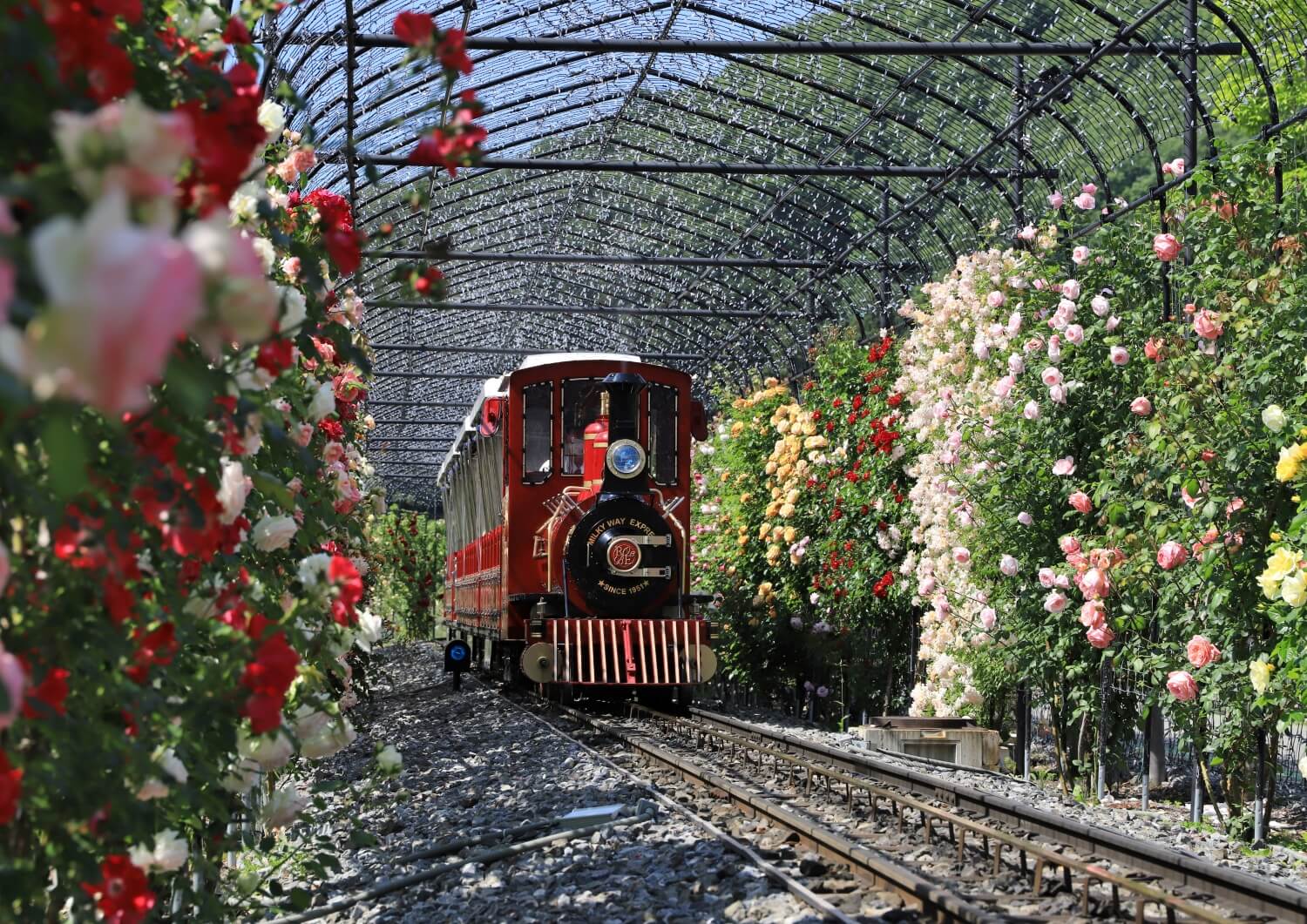 ローザン鉄道ミルキーウェイ