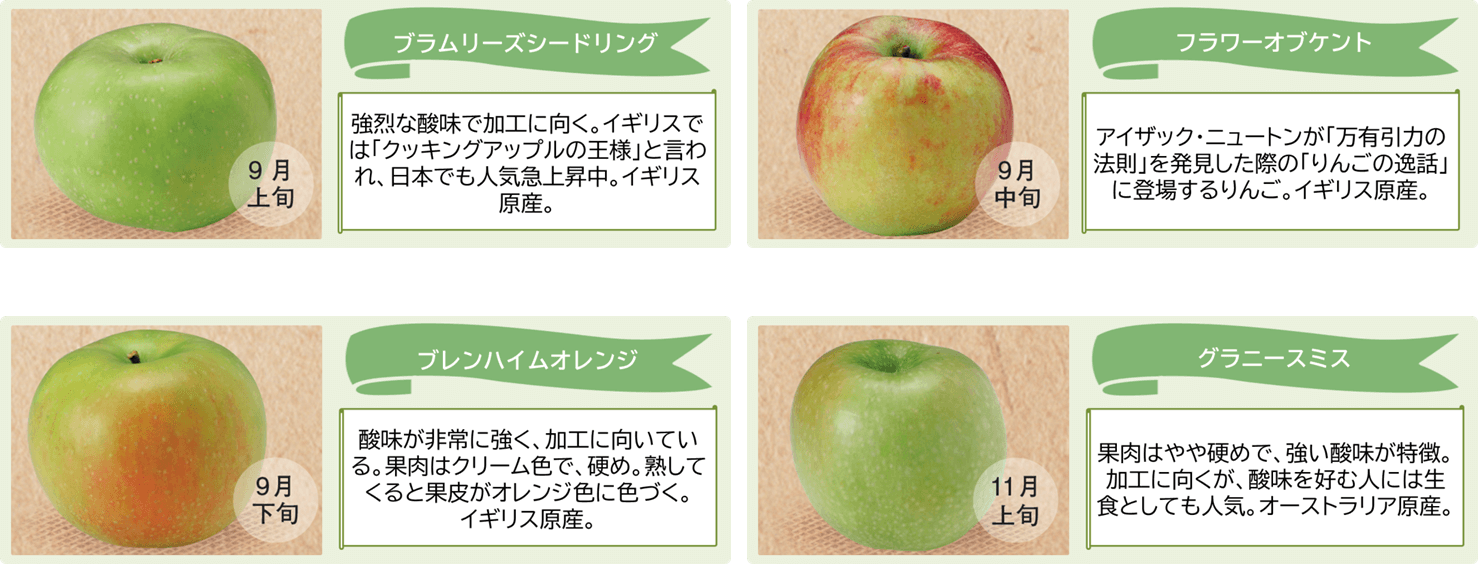 飯綱町 英国りんご