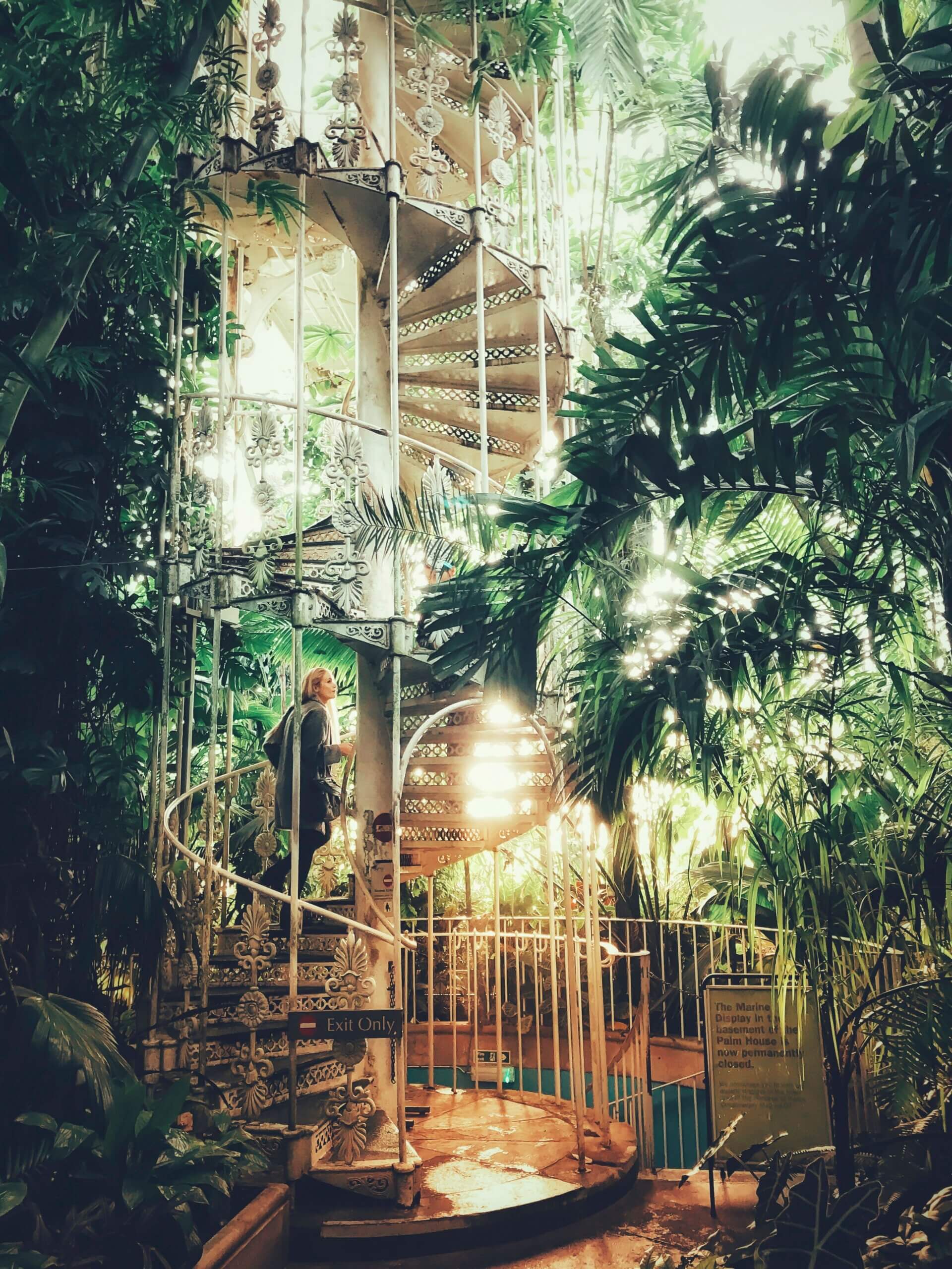 The staircase in the Palm House, at Kew Royal Botanic Gardens, London, England. (Phone Image)