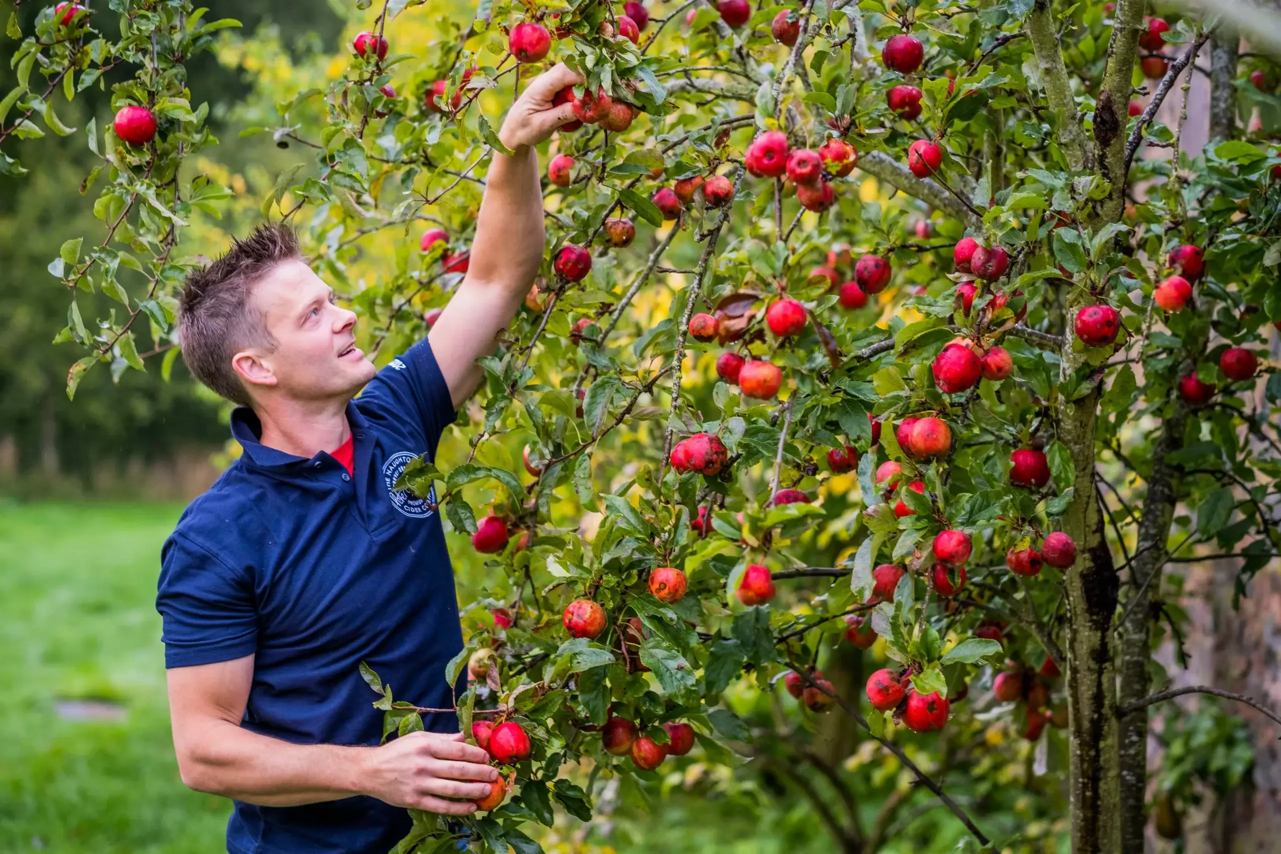 Naughton Cider Company