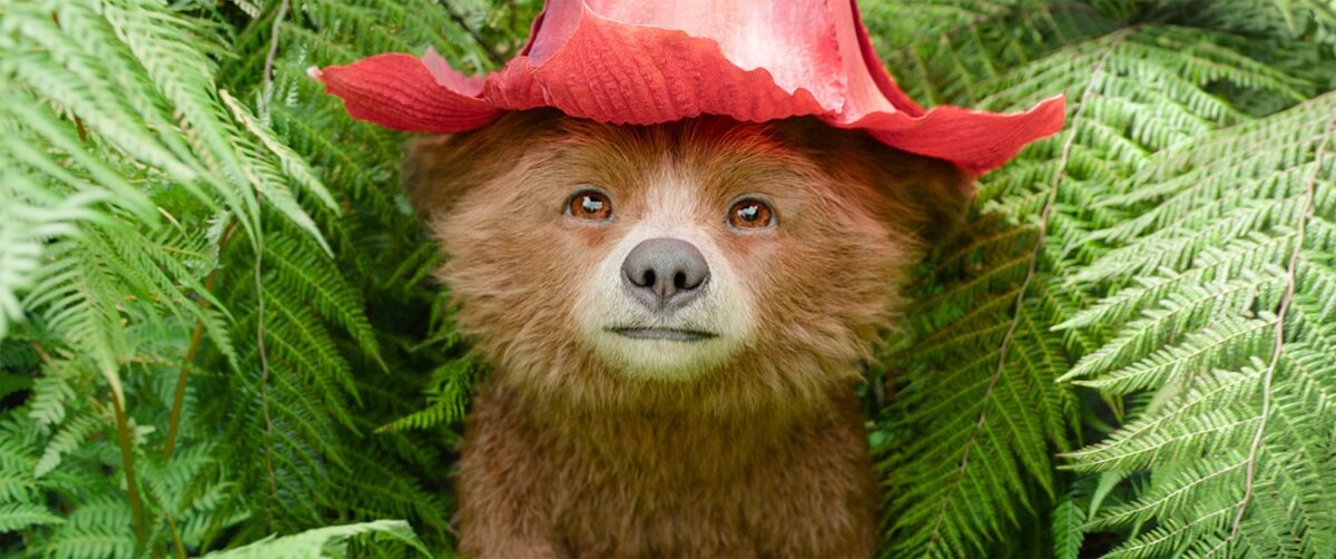 新場面写真__子クマパディントン