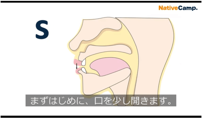 ネイティブキャンプ新教材「発音トレーニング 基礎 - イギリス英語 -」