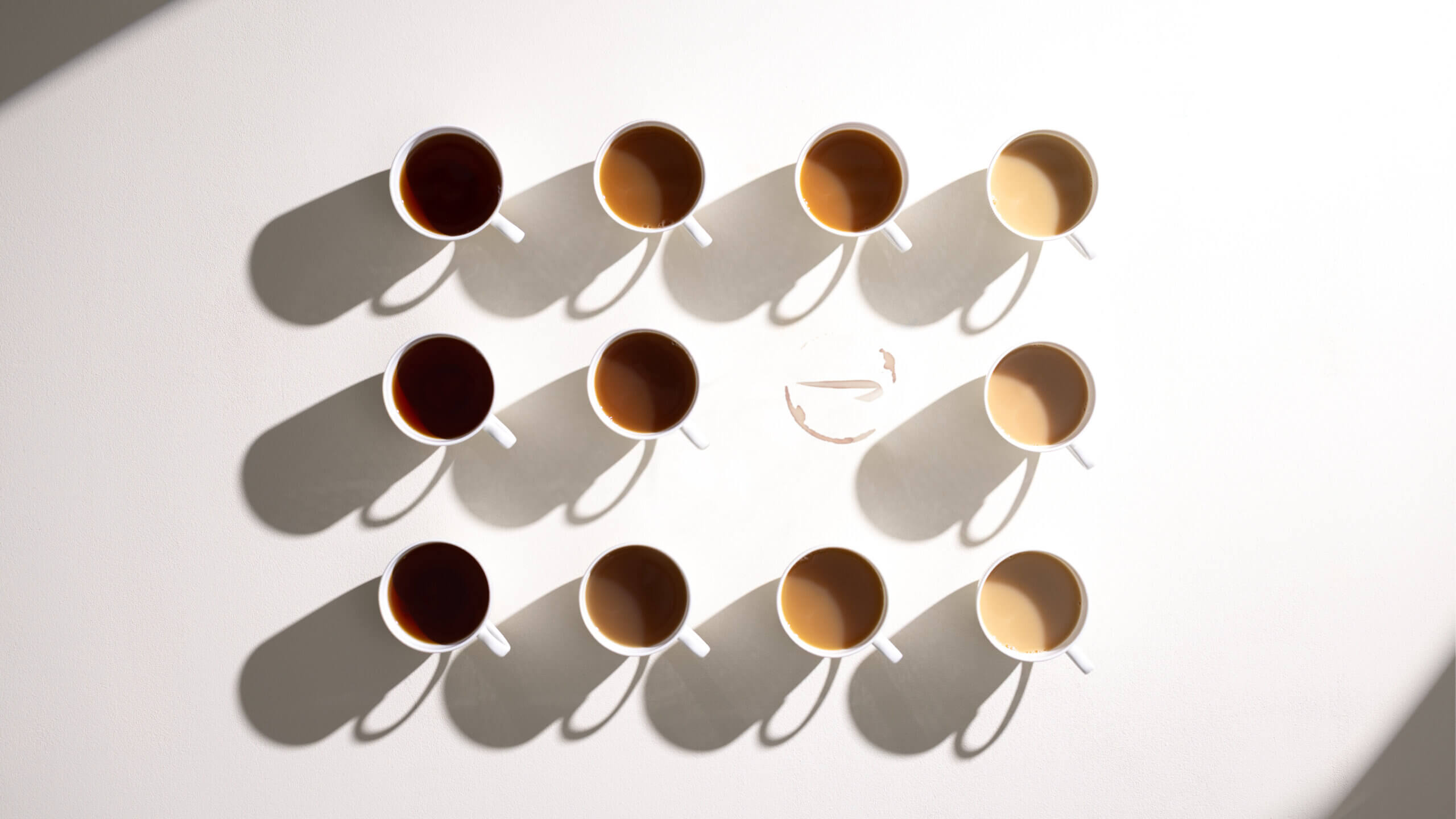birchall_tea_group