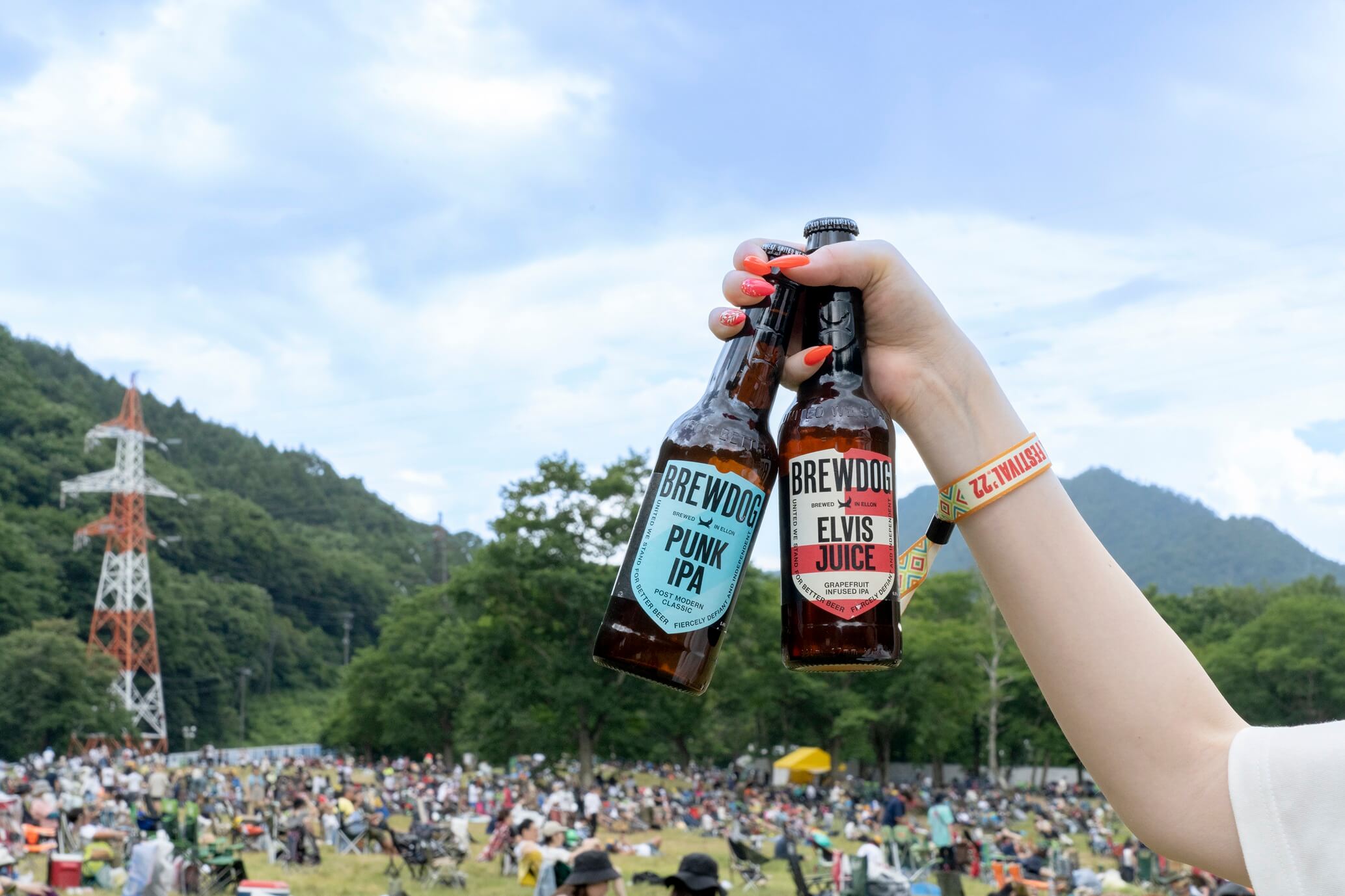 フジロック brewdog