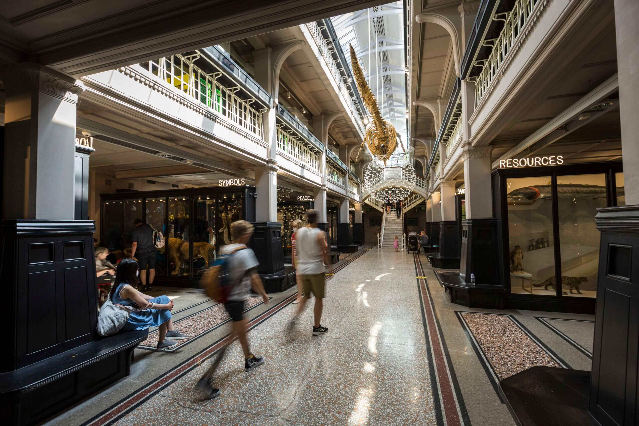 Living Worlds Gallery at Manchester Museum