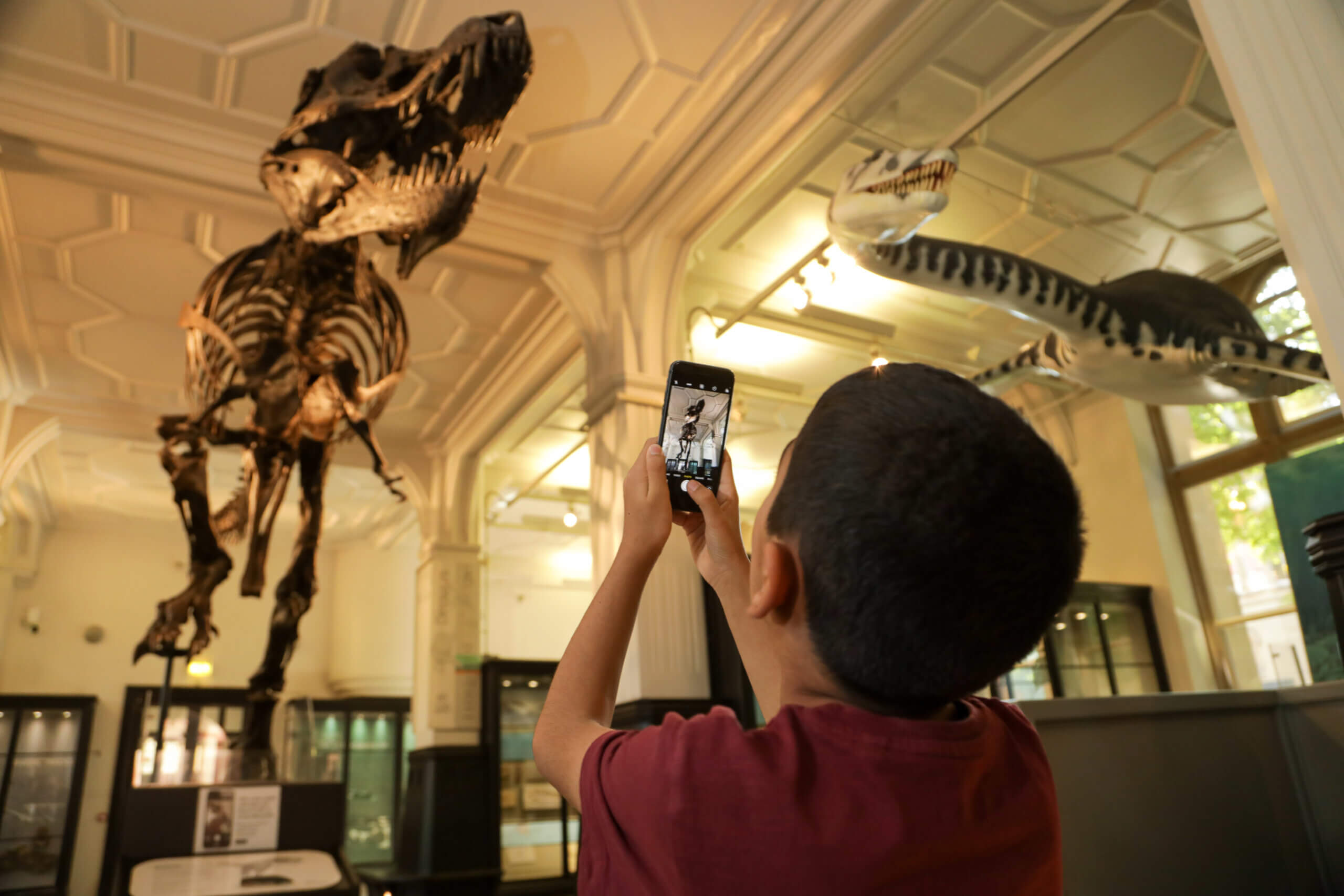 Visitor takes picture of Stan the Tyrannosaurus rex at Manchester Museum