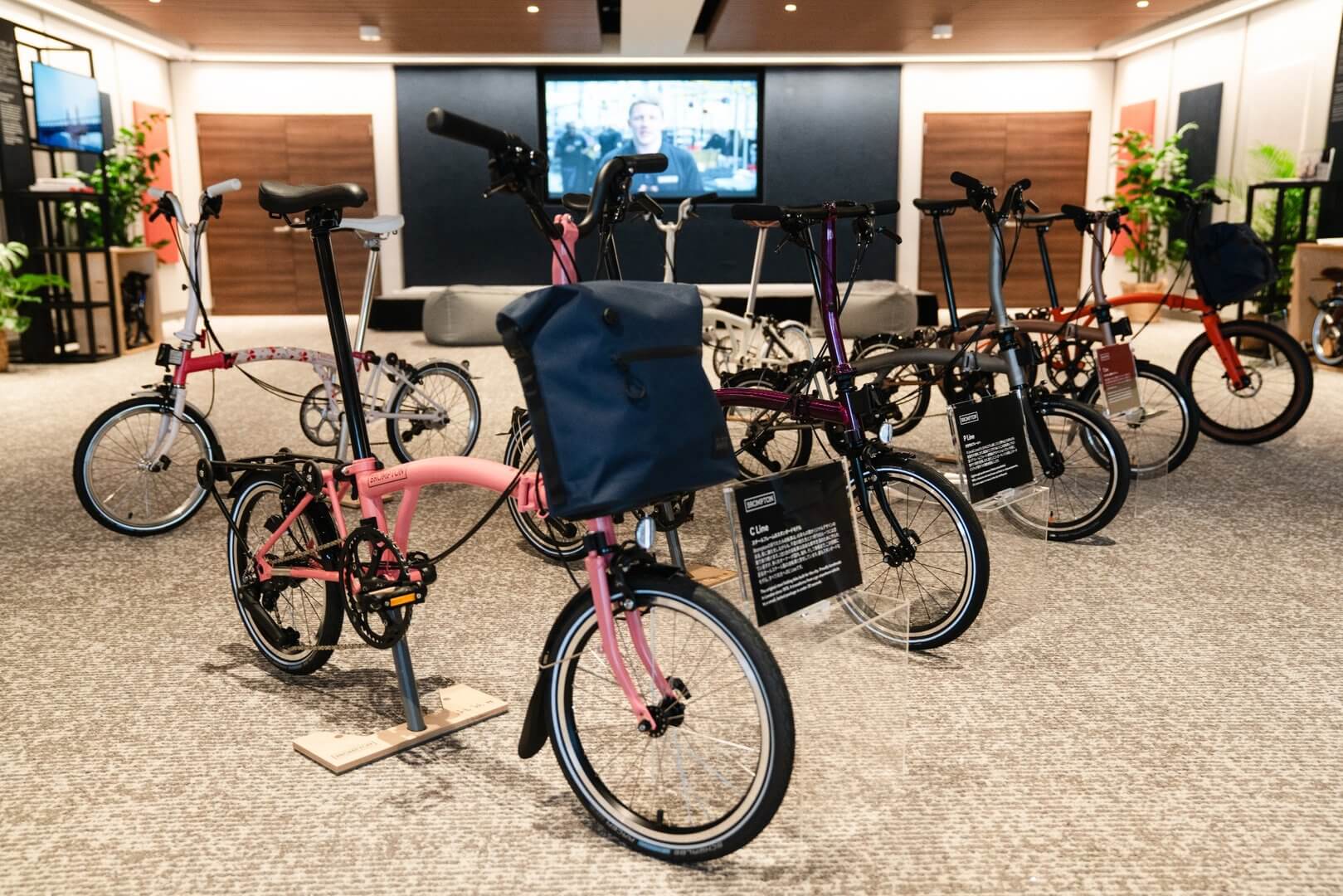 Brompton Exhibition