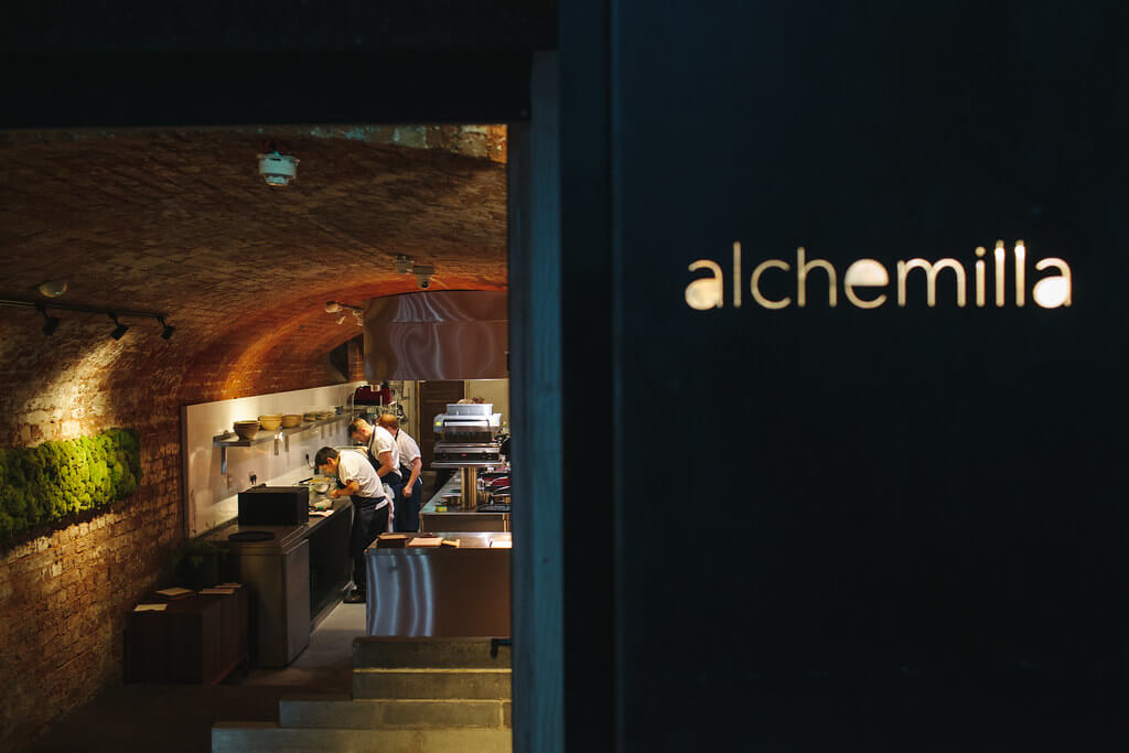 Alchemilla