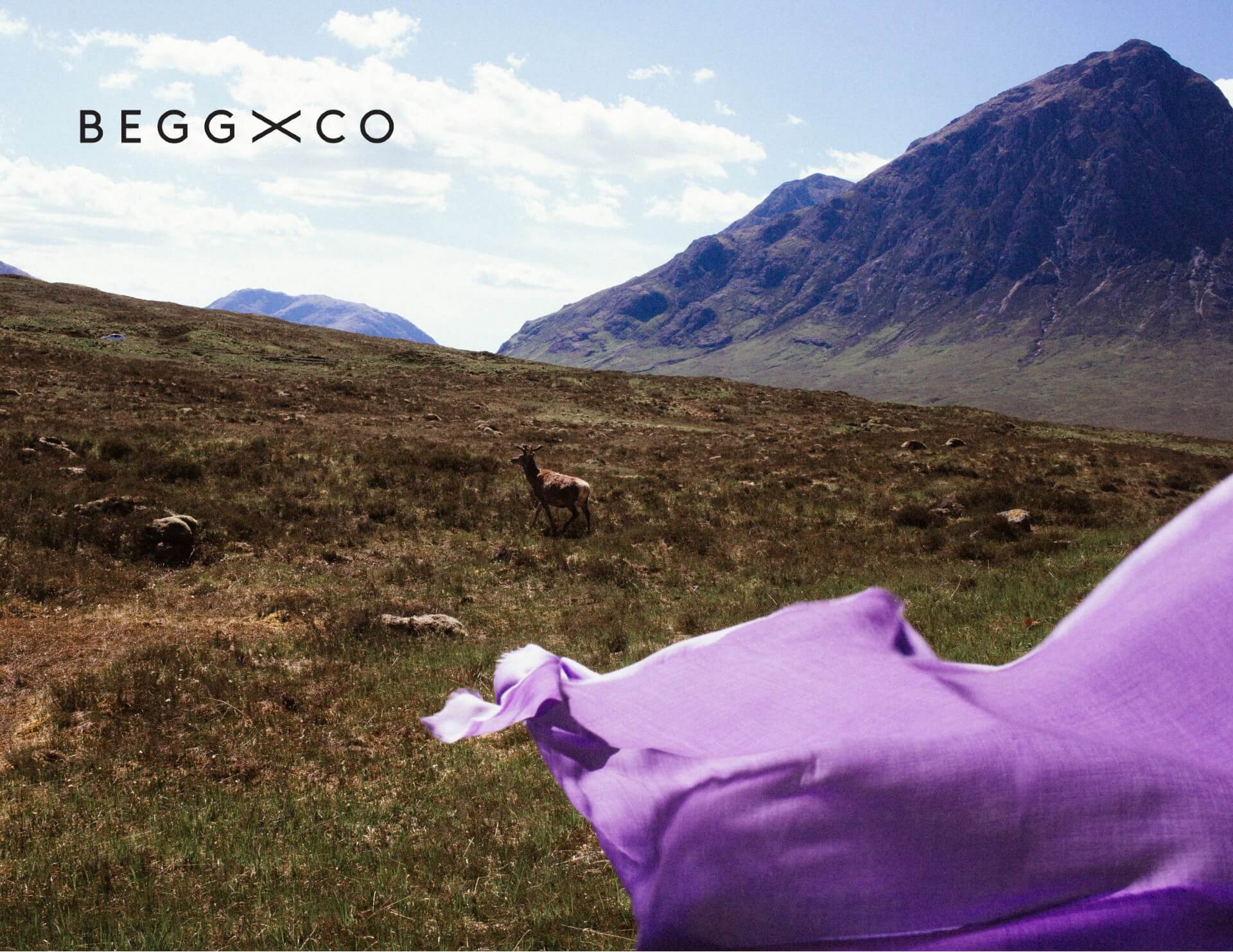 BEGG X CO（ベグ アンド コー）