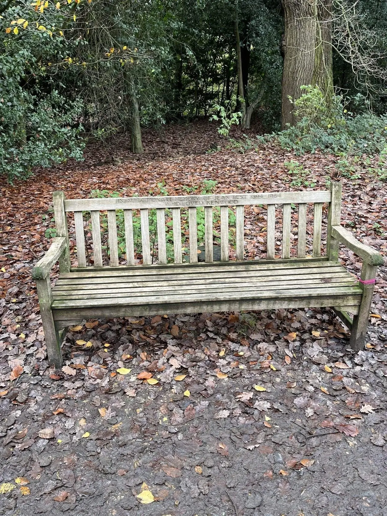 ヒースの中には、この公園を愛した人たちの記念として、ベンチが設置されています