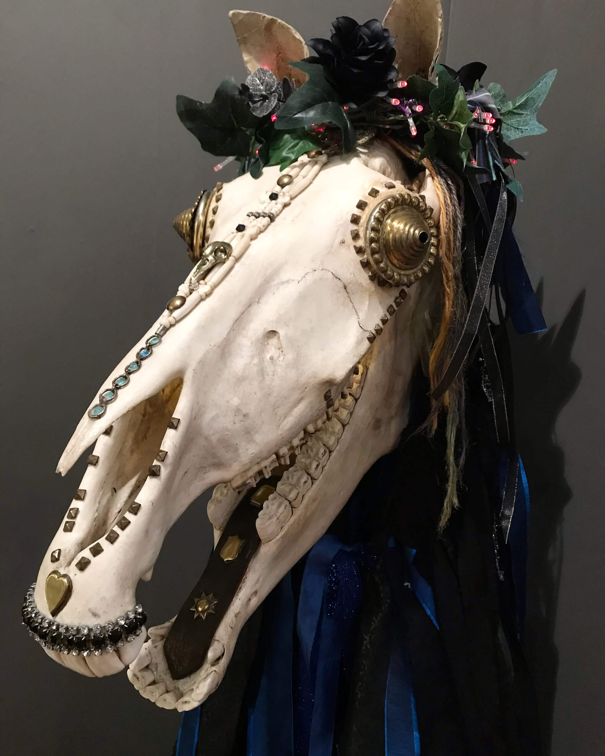 29896-the-mari-lwyd