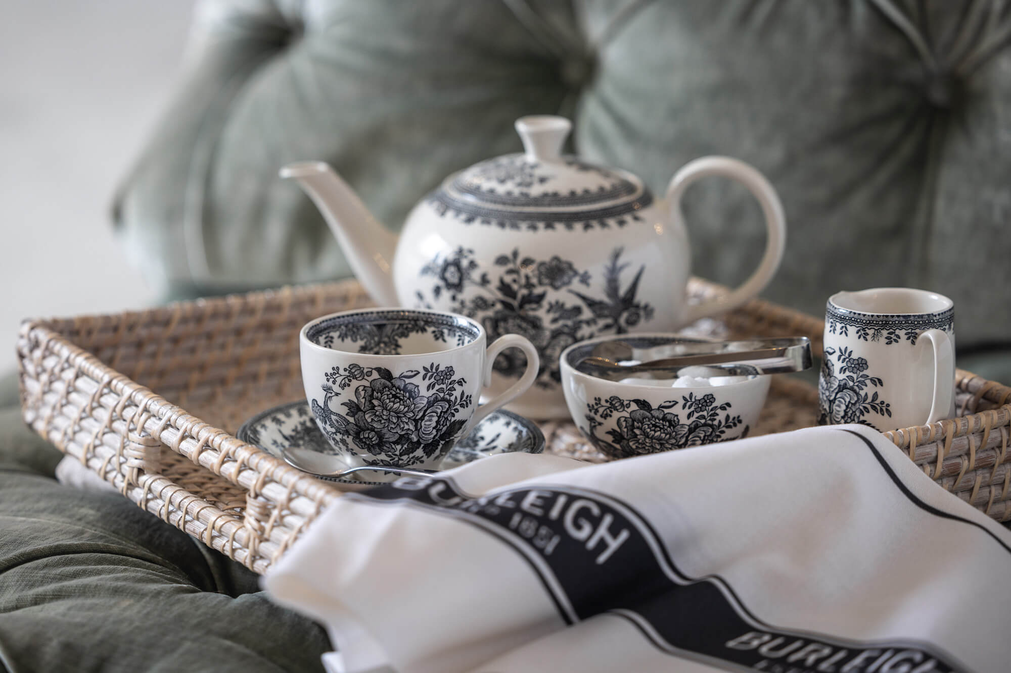 バーレイ ブラックアジアティックフェザンツ