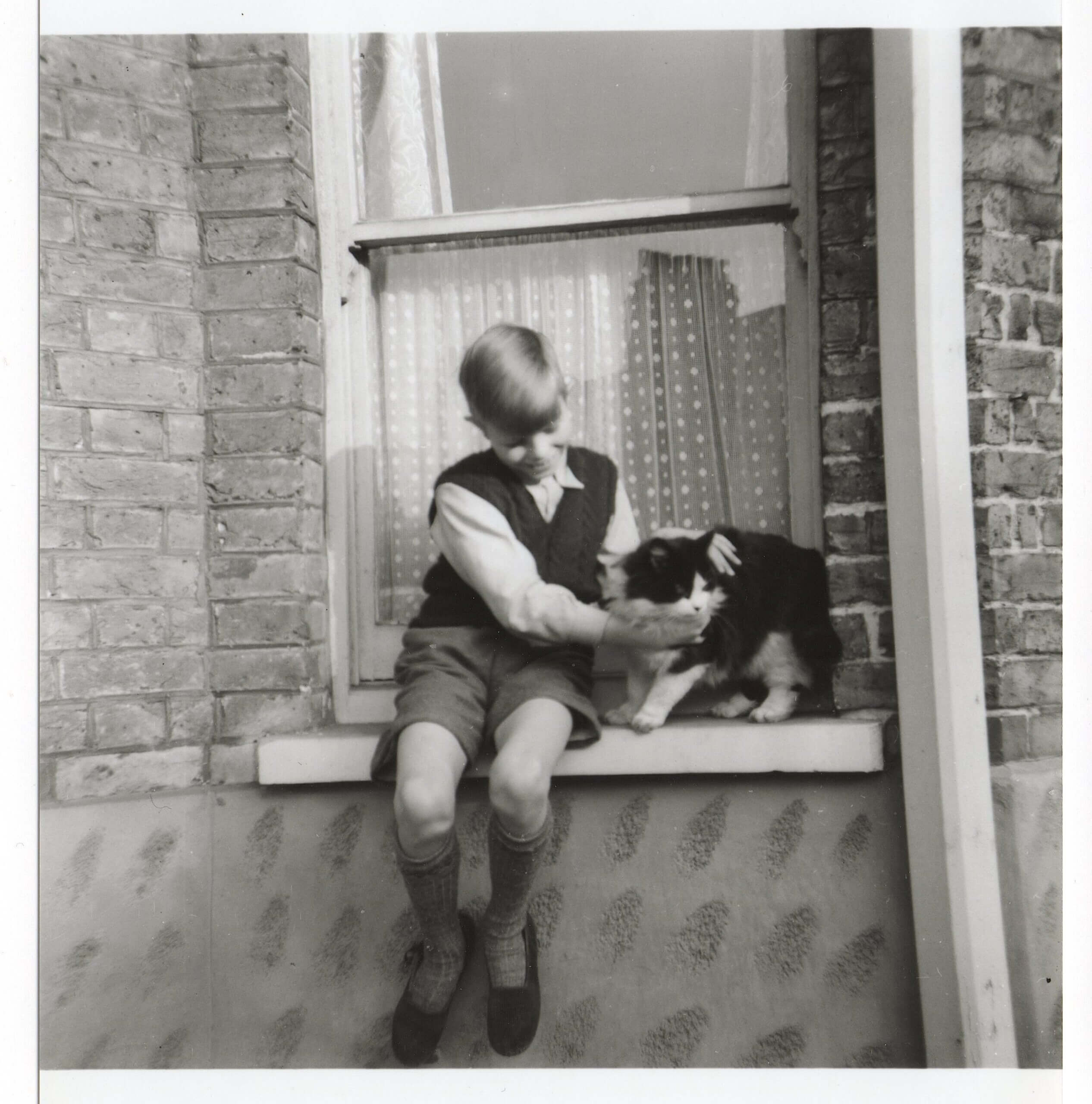 David & cat c.1956