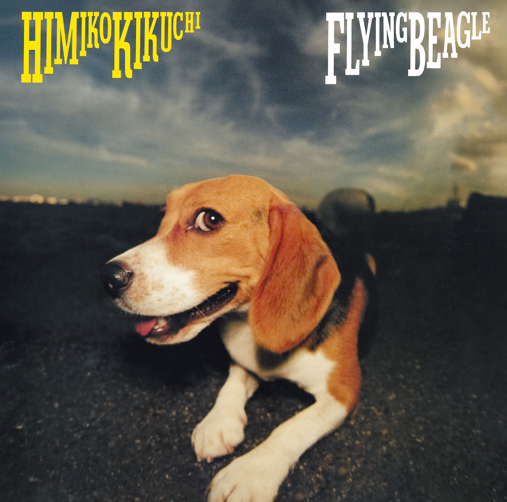 『Flying Beagle』