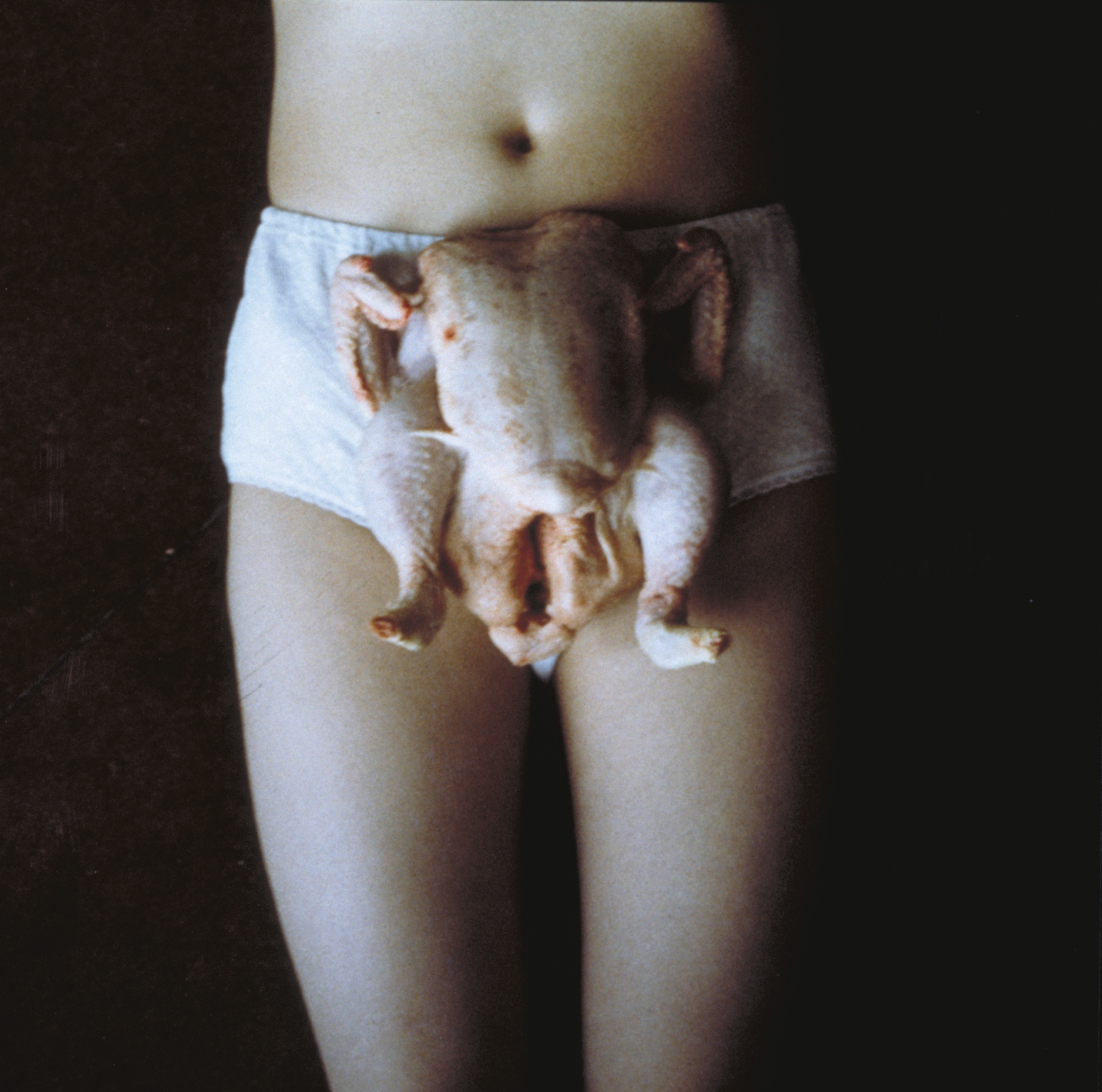 13.Sarah Lucas, Chicken Knickers, 1997. © Sarah Lucas. Courtesy the artist and Sadie Coles HQ, London. Tate.