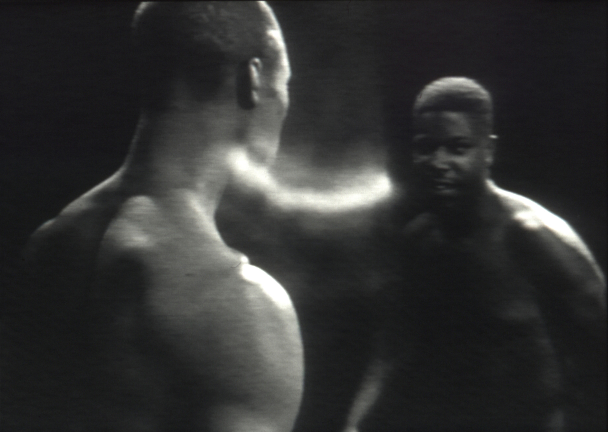 14.Sir Steve McQueen, Bear 1993 © Steve McQueen. Courtesy the artist, Thomas Dane Gallery and Marian Goodman Gallery. Tate.