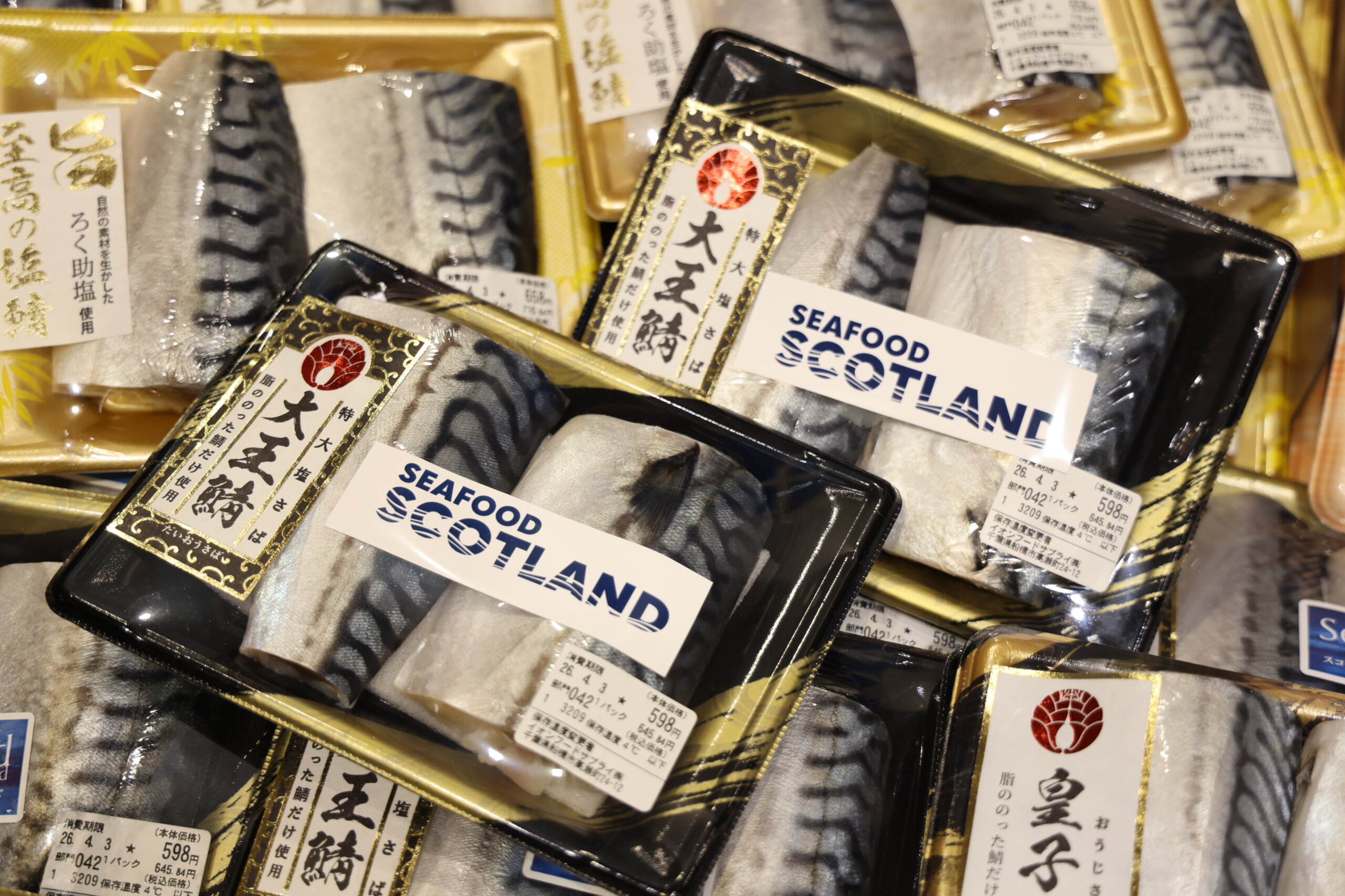 スコットランド産サバ