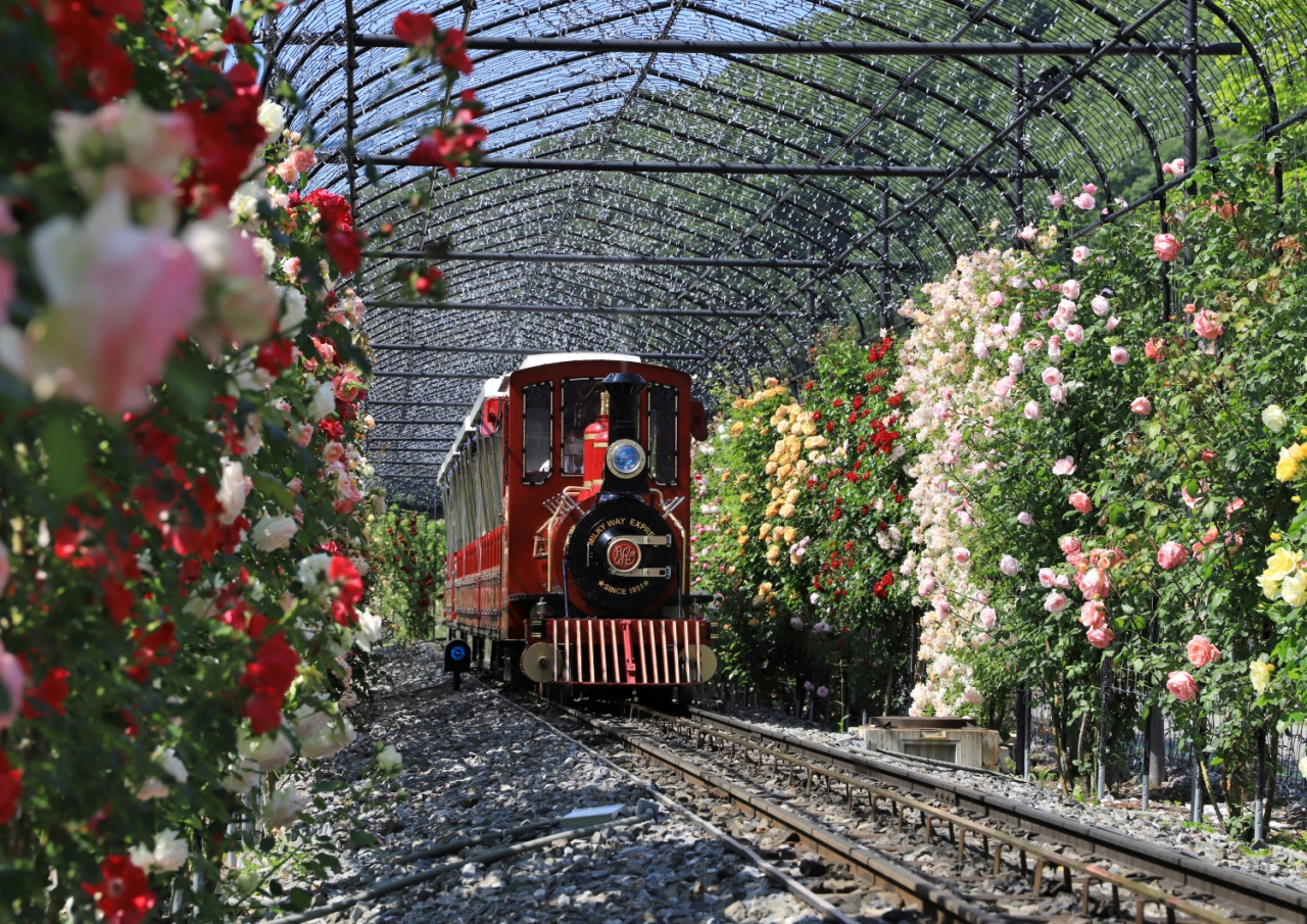ローザン鉄道ミルキーウェイ