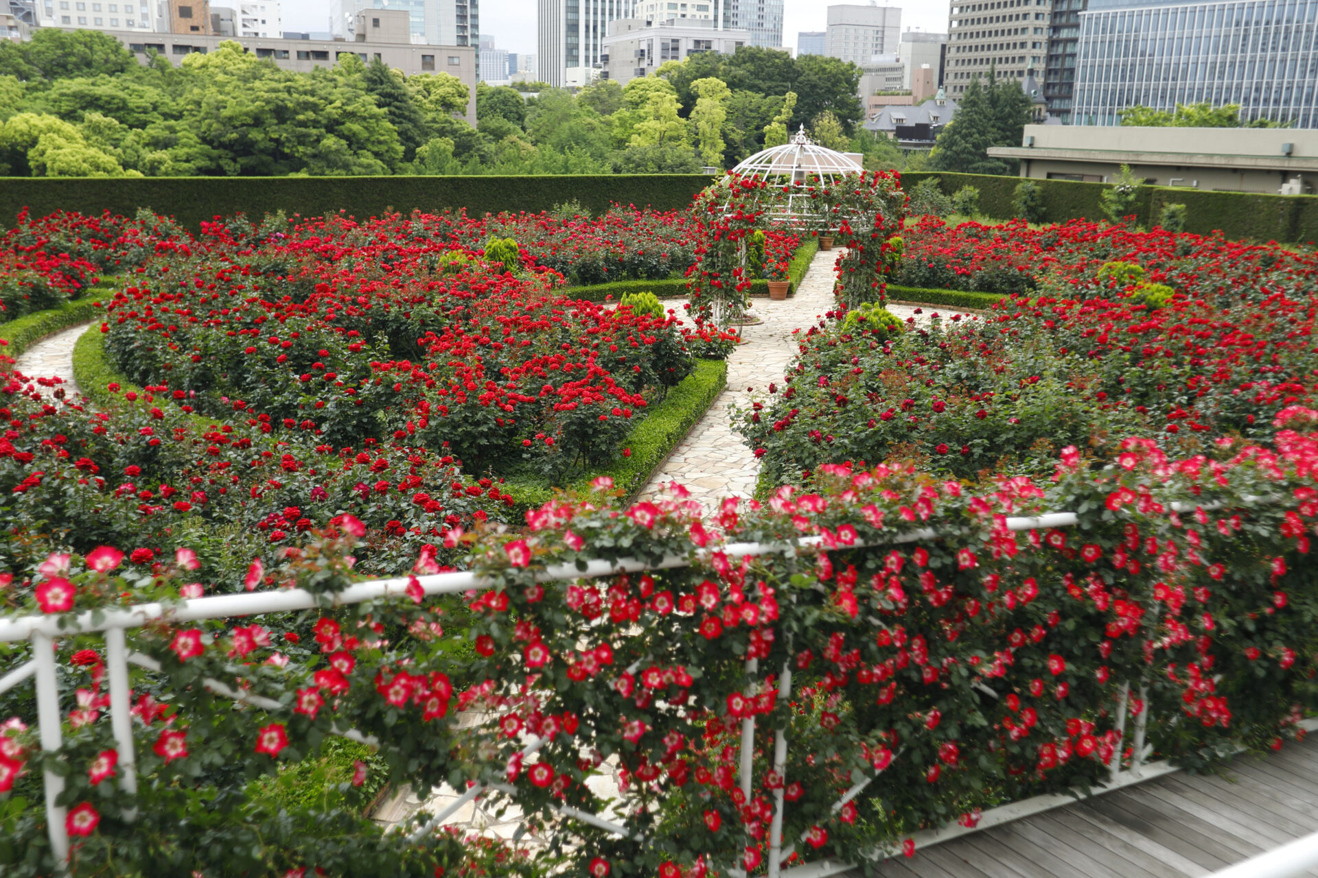 ガゼボと赤薔薇が広がる屋上庭園レッドローズガーデンの全景